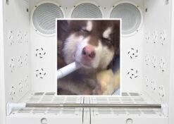 Groom-X Professional Cabin Dryer XL 25 Groom-X Professional Cabin Dryer XL -Pet Care Shop 14grx025 14 q0nxlci82pzquefx