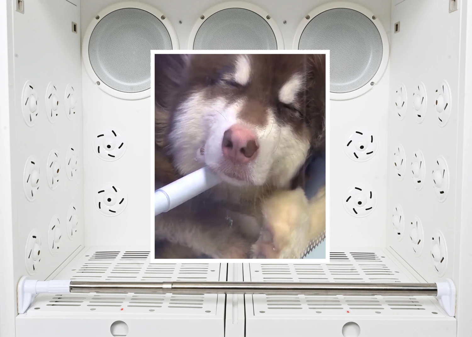 Groom-X Professional Cabin Dryer XL 13 Groom-X Professional Cabin Dryer XL - Image 13