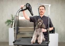 Show Tech Hand Dryer Holder -Pet Care Shop 14ste001 3 zfehtamzql7hp8yo