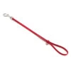Jelly Pet Grooming Loop Red 46 Cm X 1 Cm