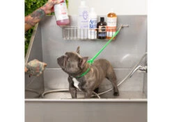 Jelly Pet Grooming Loop Lime Green 46 Cm X 1 Cm -Pet Care Shop 16jpe005 2 unxmny0cv0qv4s2w