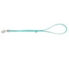 Jelly Pet Grooming Loop Teal 61 Cm X 1 Cm