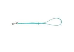 Jelly Pet Grooming Loop Teal 61 Cm X 1 Cm