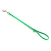 Jelly Pet Grooming Loop Heavy Duty Lime Green 61 Cm X 1,25 Cm