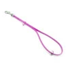 Jelly Pet Grooming Loop W/Ring Neon Pink 61 Cm X 1 Cm