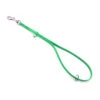 Jelly Pet Grooming Loop W/Ring Lime Green 61 Cm X 1 Cm