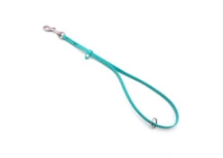 Jelly Pet Grooming Loop W/Ring Teal 61 Cm X 1 Cm