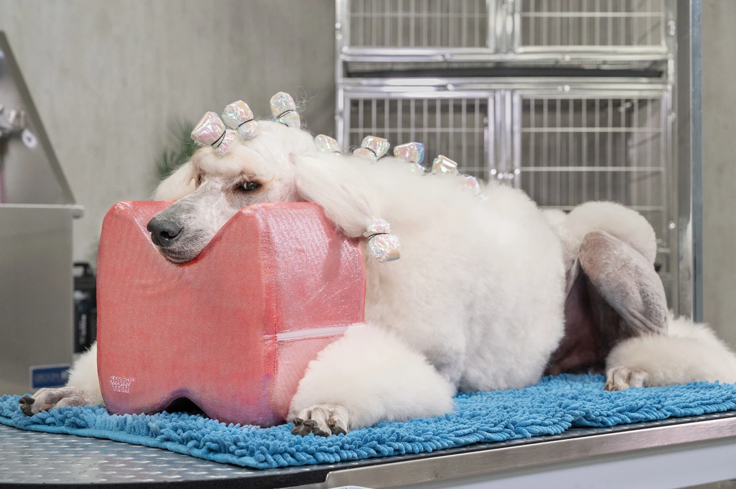 Show Tech Topknot Cushion Glitzy Red - M 6 Show Tech Topknot Cushion Glitzy Red - M - Image 6