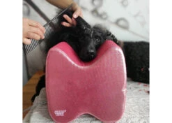 Show Tech Topknot Cushion Glitzy Purple - M -Pet Care Shop 16ste071 4 1 ckl9sf6uvw4ukoss