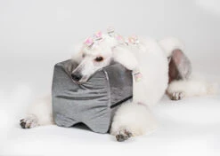 Show Tech Topknot Cushion Glitzy Black - L -Pet Care Shop 16ste077 4 1fwpy4su0tyttknw