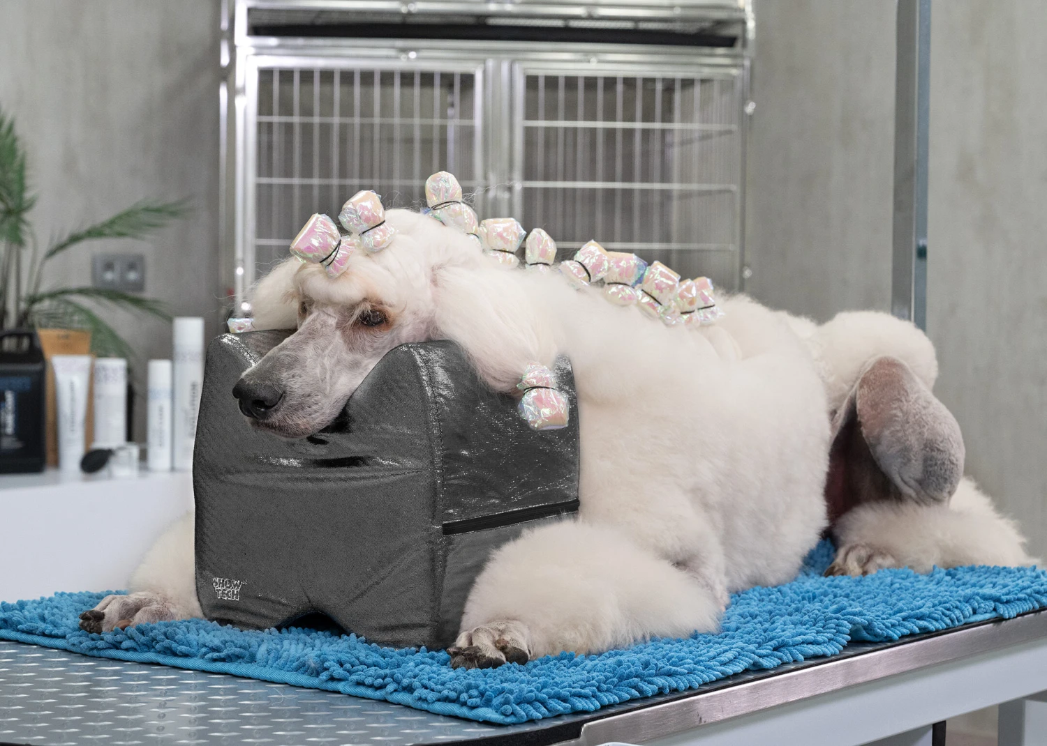 Show Tech Topknot Cushion Glitzy Purple - S 12 Show Tech Topknot Cushion Glitzy Purple - S - Image 12