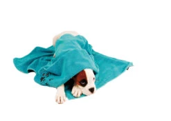 Show Tech+ Microfibre Towel Turquoise 56x90cm -Pet Care Shop 33stp002 42x dkbpvyjmugpgduhq