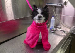 Show Tech+ Dry Dude Small Hot Pink Bathrobe -Pet Care Shop 33stp008 kyujbnarvpg4udce