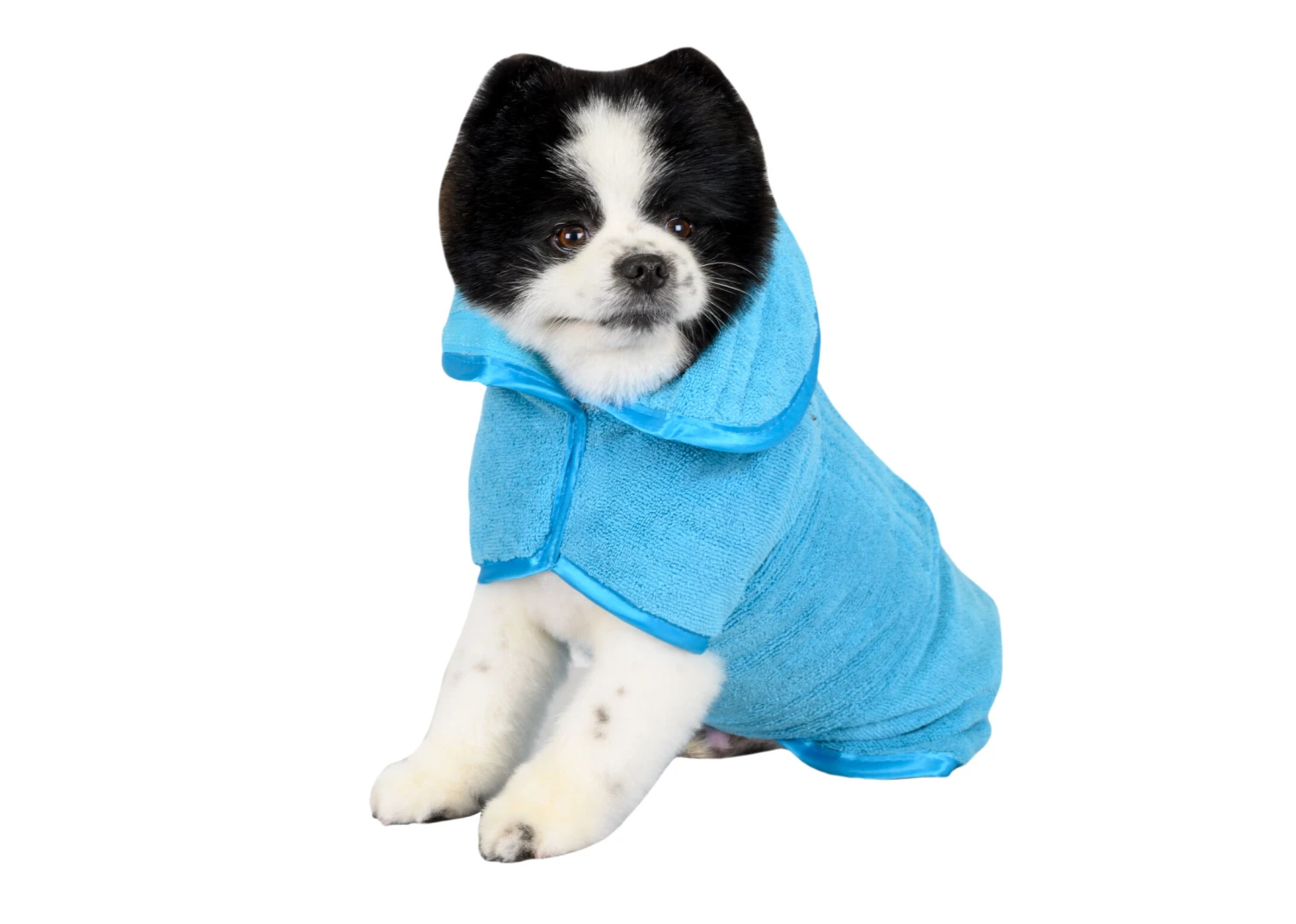 Show Tech+ Active Microfiber Coat Turquoise Mini Dachshund 5 Show Tech+ Active Microfiber Coat Turquoise Mini Dachshund - Image 5