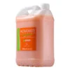 Artero Hidratante 5 L Shampoo