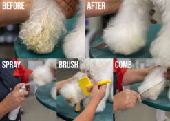 Show Tech+ Quick Clean Dry Shampoo 200 Ml -Pet Care Shop 41stp019 2 7nfo3nxw3kylel7h