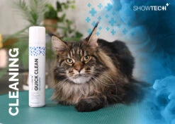 Show Tech+ Quick Clean Dry Shampoo 200 Ml -Pet Care Shop 41stp019 7 hdajzlprfdrybvfj
