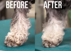 Show Tech+ Quick Clean Dry Shampoo 200 Ml -Pet Care Shop 41stp019 9 humlll9pgsohhrti