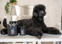 Show Tech+ Super Clean 40 Shampoo 100 Ml -Pet Care Shop 41stp021 1 viqpalziidk1jw98