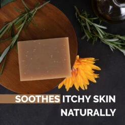 Show Tech+ Bubble Bliss Shampoo Bar -Pet Care Shop 41stp039 bubble bliss 1080x1080 02 gfmiynxz4kqn9g3g