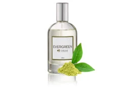 IGroom Perfume Evergreen 100 Ml
