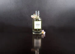 IGroom Perfume Spring 100 Ml 7 IGroom Perfume Spring 100 Ml -Pet Care Shop 44igr006 4 6vudjhbyc8mfjczi