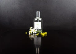 IGroom Perfume Joy 100 Ml -Pet Care Shop 44igr014 2 w0mvbfawwcs2ys3h