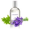 IGroom Perfume Lavender 100 Ml