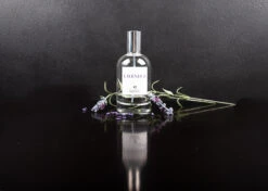 IGroom Perfume Lavender 100 Ml -Pet Care Shop 44igr015 4 home2dj7tzbvotyc