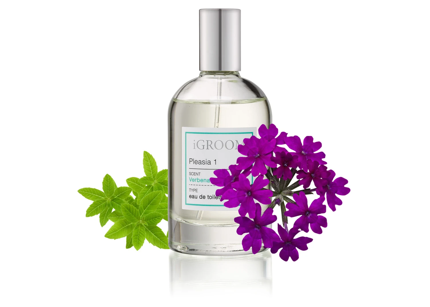 IGroom Perfume Pleasia 1 100 Ml 1 IGroom Perfume Pleasia 1 100 Ml