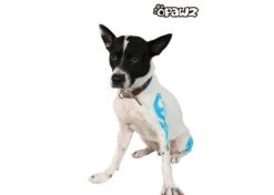 Opawz Tattoo Stencil Set 24pcs