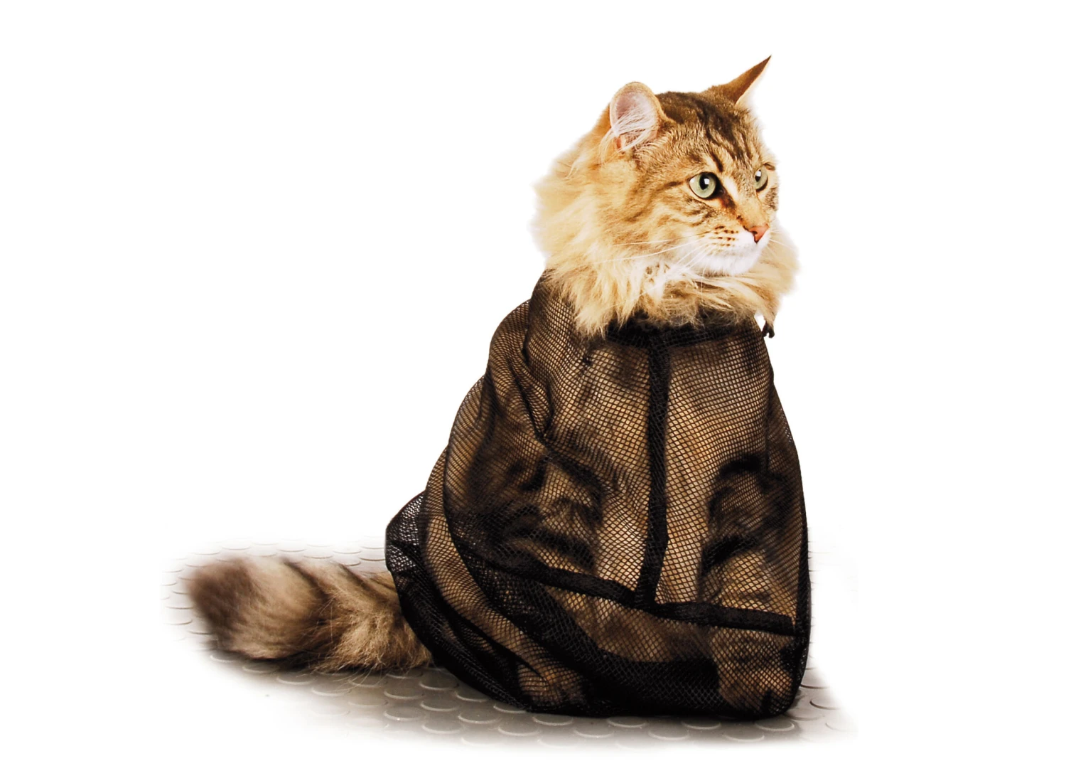 Show Tech Cat Bag 1 Show Tech Cat Bag