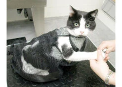 Show Tech Cat Bag 6 Show Tech Cat Bag -Pet Care Shop 62ste001 32x 8idnnlguc22bmawv