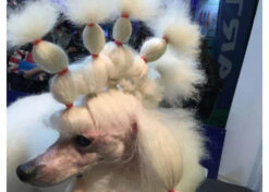 Show Tech Wrap Bands Hot Pink - 1000 Pcs Wrapping Bands