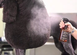 Show Tech Exclusive Salon Micro Mist Bottle Brown 300ml -Pet Care Shop 87ste016 2 o9dtlsxx5hezof6w