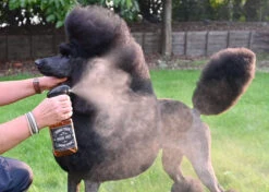 Show Tech Exclusive Salon Micro Mist Bottle Green 150ml -Pet Care Shop 87ste017 2 l9ol9maoriwrrxp2