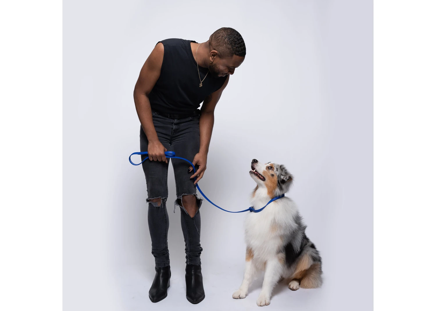 Jelly Pet Grooming Leads Royal Blue 1 Cm X 120 Cm 3 Jelly Pet Grooming Leads Royal Blue 1 Cm X 120 Cm - Image 3